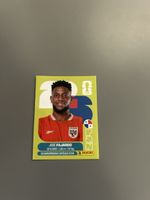 Panini FIFA World Cup Sticker PAN 17